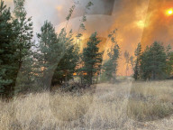 NEWS - Waldbrände in der russischen Region Woronesch