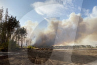 NEWS - Waldbrände in der russischen Region Woronesch