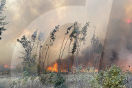 NEWS - Waldbrände in der russischen Region Woronesch