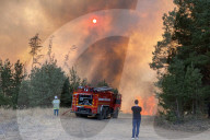 NEWS - Waldbrände in der russischen Region Woronesch