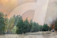 NEWS - Waldbrände in der russischen Region Woronesch