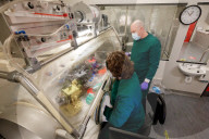 UK scientists begin study of how long Covid can survive in the air. Researchers will test length of time virus stays infectious in different climatic conditions