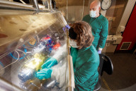 UK scientists begin study of how long Covid can survive in the air. Researchers will test length of time virus stays infectious in different climatic conditions