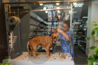 NEWS - Coronavirus: Alltag in Sofia, Bulgarien