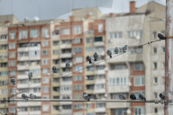 NEWS - Coronavirus: Alltag in Sofia, Bulgarien