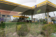 FEATURE - Verlassene, überwachsene Tankstelle: Projekt der "Vegetal attacks!" Bewegung
