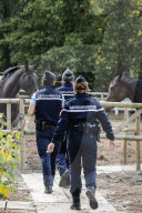 NEWS - Frankreich: Patrouillen der Polizei nach Pferdeverstümmelungen 