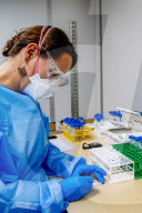 NEWS - Coronavirus: Covid-19-Schnelltests - Niederlande

