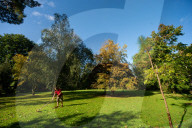 Autumn colour brings joy to UK's growing band of 'leaf peepers'. Increasing numbers of people are discovering the pleasures of the turning of the seasons.
