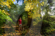 Autumn colour brings joy to UK's growing band of 'leaf peepers'. Increasing numbers of people are discovering the pleasures of the turning of the seasons.