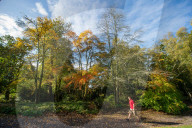 Autumn colour brings joy to UK's growing band of 'leaf peepers'. Increasing numbers of people are discovering the pleasures of the turning of the seasons.