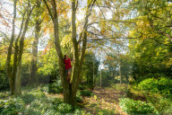 Autumn colour brings joy to UK's growing band of 'leaf peepers'. Increasing numbers of people are discovering the pleasures of the turning of the seasons.