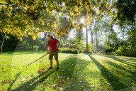 Autumn colour brings joy to UK's growing band of 'leaf peepers'. Increasing numbers of people are discovering the pleasures of the turning of the seasons.
