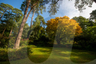 Autumn colour brings joy to UK's growing band of 'leaf peepers'. Increasing numbers of people are discovering the pleasures of the turning of the seasons.