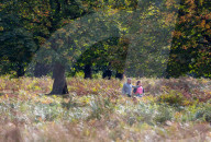 Walkers in Richmond Park enjoy the mild temperatures and autumnal colours in Richmond Park today 