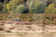 Walkers in Richmond Park enjoy the mild temperatures and autumnal colours in Richmond Park today 