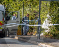 A body of man has been found near Commonside East on Mitcham Common in South West London.