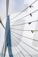 NEWS - Greenpeace Aktivisten an der Erasmusbrücke in Rotterdam