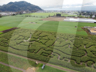 FEATURE -  Maislabyrinth in Form eines Coronavirus - Kanada
