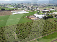 FEATURE -  Maislabyrinth in Form eines Coronavirus - Kanada
