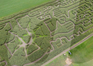 FEATURE -  Maislabyrinth in Form eines Coronavirus - Kanada
