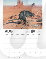 FEATURE -  Kalender mit kackenden Hunde wird wieder aufgelegt