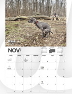 FEATURE -  Kalender mit kackenden Hunde wird wieder aufgelegt