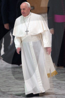 NEWS - Papst Franziskus bei der wöchentlichen Generalaudienz