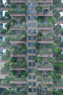 FEATURE -  "Vertikaler Wald" begrünt Wohnhaus in Chengdu 