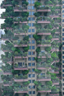 FEATURE -  "Vertikaler Wald" begrünt Wohnhaus in Chengdu 