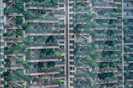 FEATURE -  "Vertikaler Wald" begrünt Wohnhaus in Chengdu 