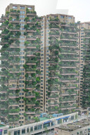 FEATURE -  "Vertikaler Wald" begrünt Wohnhaus in Chengdu 