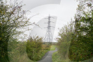 Plans for Â£3.5bn theme park on Kent marsh dismay conservationists 
