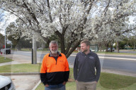 Meet the bee brokers: 'You never stop learning about bees, they're just incredible'.
While Covid confines humans to their homes, insects are chauffeured around the country in Australia‚Äôs largest livestock movement