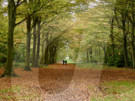 Walkers enjoy the autumn colours of the park at Felbrigg Hall in Norfolk