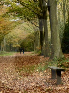 Walkers enjoy the autumn colours of the park at Felbrigg Hall in Norfolk