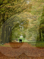 Walkers enjoy the autumn colours of the park at Felbrigg Hall in Norfolk