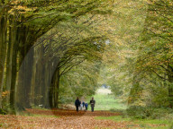 Walkers enjoy the autumn colours of the park at Felbrigg Hall in Norfolk