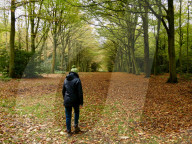 Walkers enjoy the autumn colours of the park at Felbrigg Hall in Norfolk