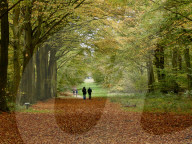Walkers enjoy the autumn colours of the park at Felbrigg Hall in Norfolk