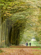 Walkers enjoy the autumn colours of the park at Felbrigg Hall in Norfolk
