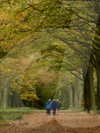 Walkers enjoy the autumn colours of the park at Felbrigg Hall in Norfolk
