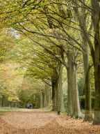 Walkers enjoy the autumn colours of the park at Felbrigg Hall in Norfolk