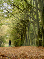 Walkers enjoy the autumn colours of the park at Felbrigg Hall in Norfolk