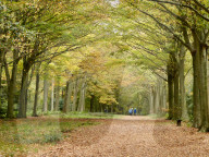 Walkers enjoy the autumn colours of the park at Felbrigg Hall in Norfolk