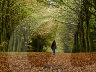 Walkers enjoy the autumn colours of the park at Felbrigg Hall in Norfolk