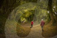 Autumn colours - Sussex