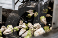 REPORTAGE - Anbau von Zuckerrüben in Laon
, Frankreich