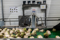 REPORTAGE - Anbau von Zuckerrüben in Laon
, Frankreich