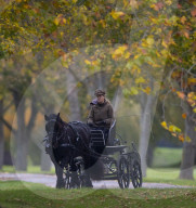 Sophie macht eine herbstliche Ausfahrt mit der Kutsche in Windsor